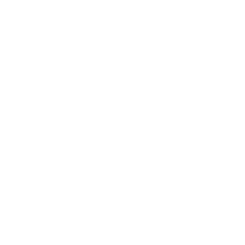 ShoChile